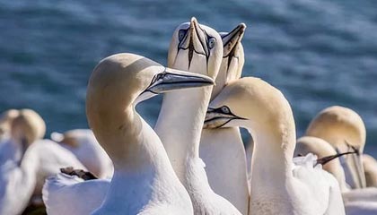 陆丰伴游，定制QQ：3494206190微信：act1322